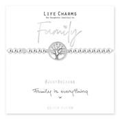 Life Charm "Family is Everything" Bracelet image