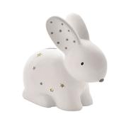 Bunny Rabbit Money Box