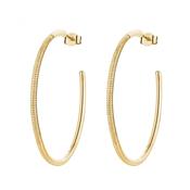 Rosato Bianca  Sterling silver hoop earrings, gold plating, 318 white cubic zirconia image