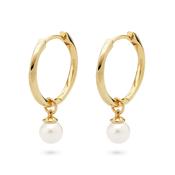 jette earrings silv925 yellow gold plate shell pearl ?2cm image