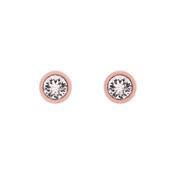ted baker crystal stud earring rose gold image