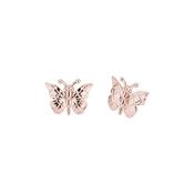 ted baker-: mini butterfly stud earring image