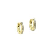 ted baker hettie: crystal hoop earrings (10mm)  gold tone clear crystal