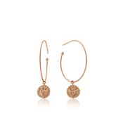 ANIA HAIE EARRINGS E009-03R image