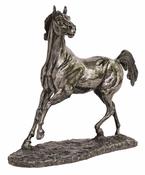 Stallion