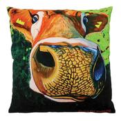 Tipperary Crystal Eoin O Connor Reach For The Stars 45cm Cushion