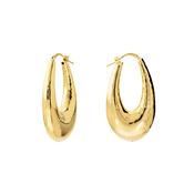 Graduated Hammered Hoop Earrings image