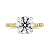 Round Brilliant Hidden Halo Engagement Ring 3.48ct image