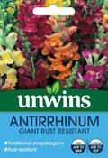 Unwins Anttirrhinum Giant Rust Resistant