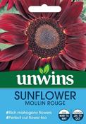 Unwins Sunflower Moulin Rouge