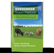 Evergreen Super Pasture 1/2 Acre Bag