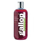 CDM Gallop Colour Shampoo Bay 500ml