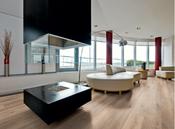 Dynamic Plus Wells Oak 8mm