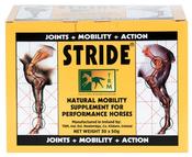 Stride Sachets 50G