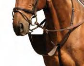 Mackey Classic Bib Martingale