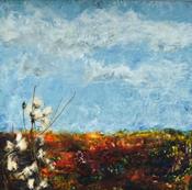 On the bog