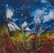 Bog Cotton