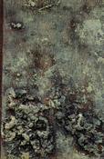 Olivine image