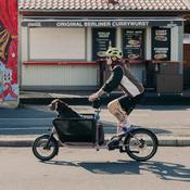 Muli Motor folding mini cargo bike image