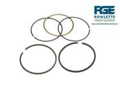 Loncin 1P65FE, EVC200.2 Stihl, HS139A, HS123A Husqvarna, 1P65FE-3, 1P65FE-2 Rings Set