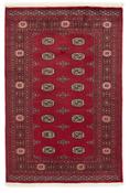 Bokhara 1415153 image
