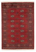 Bokhara 1415173 image