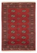 Bokhara 1415174 image