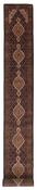 Tabriz Indi Runner 1483884 image