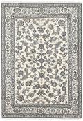 Nain Kashmar 1488187 image