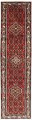 Asadabad Runner 1514394 image