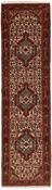 Asadabad Runner 1514538 image