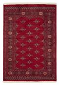 Bokhara 1518798 image