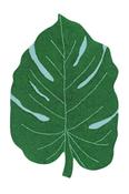 Monstera Leaf