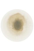 Meditation Collection Drop Fawn Circle 2103 image
