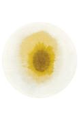 Meditation Collection Drop Gold Moss Circle 2100 image
