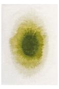 Meditation Collection Drop Green Pepper 2105 image