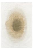 Meditation Collection Drop Fawn 2103 image