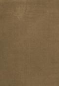 Solid Wool Green Umber image