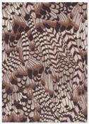 Ted Baker Feathers Natural 162404 image