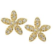 forget-me-not sparkles gold
