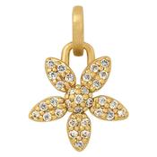 forget-me-not sparkle - gold