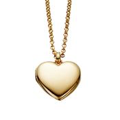 sorcha - yellow gold plated olivia image