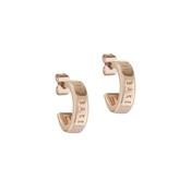 ted baker helanna  nano logo hoop earring rose gold tone image