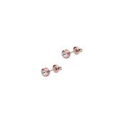 ted baker sinee: mini crystal stud earrings, rose gold tone, clear crystal