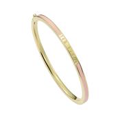 ted baker roley: classic colour enamel slim gold tone bangle bracelet image