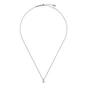 ted baker harlow: mini crystal heart pendant necklace  silver tone clear crystal image