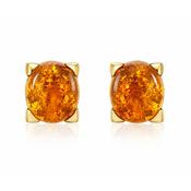 14ct Yellow Gold Amber Earrings image