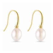 18ct Yellow Gold Pearl Drop Earrings image