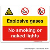 Explosive Gases - 14114