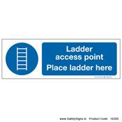 Ladder Access Point - 16200 image